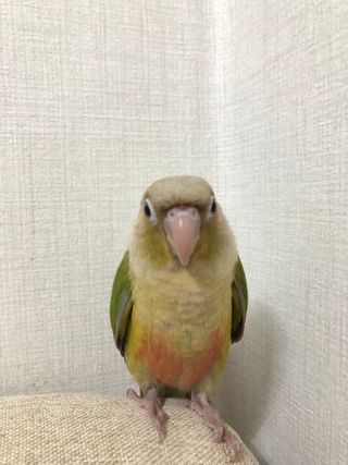 Lucy님이 올린 리뷰 사진 2
