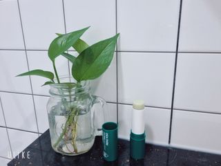 신현미님이 올린 리뷰 사진 3