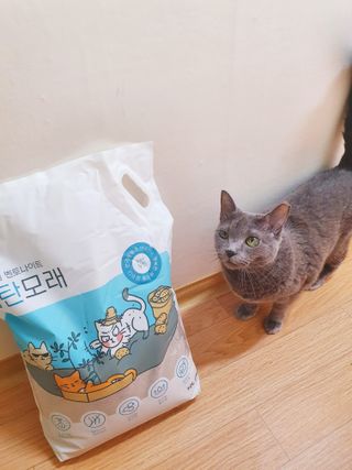 핑키냥이님이 올린 리뷰 사진 3