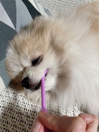 밍크마마님이 올린 리뷰 사진 3