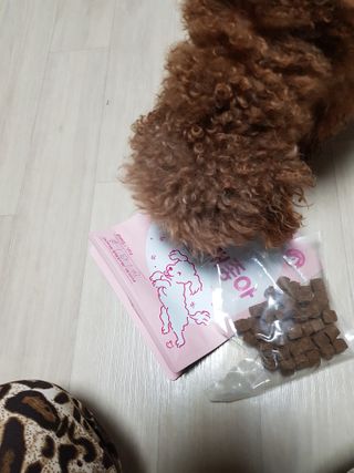 My Pet Care 천연단백질 관절건강에 개좋아 — 4.5점을 준 리뷰어가 2020년 12월 올린 사용 사진