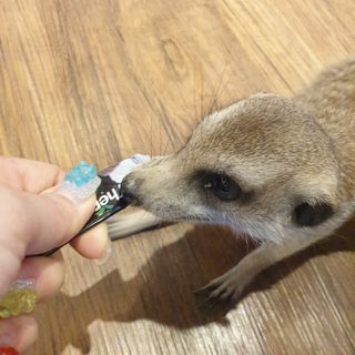 작은곰님이 올린 리뷰 사진 3