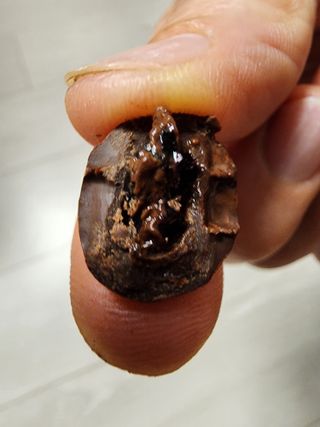 펭수님이 올린 리뷰 사진 1