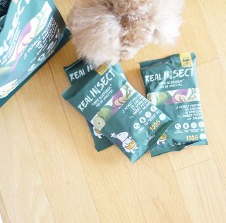 [푸디웜] 라포그  리얼인섹트 웨이트밸런스 저알러지 강아지 사료  1.2KG — 5점을 준 리뷰어가 2021년 7월 올린 사용 사진