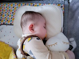 소담님이 올린 리뷰 사진 3