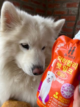 김은둥님이 올린 리뷰 사진 2