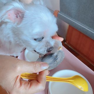 정이님이 올린 리뷰 사진 1