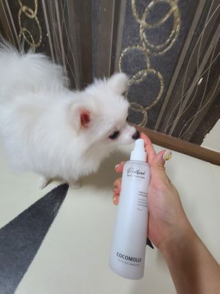 튼튼보이맘님이 올린 리뷰 사진 3