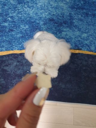 러블희님이 올린 리뷰 사진 1