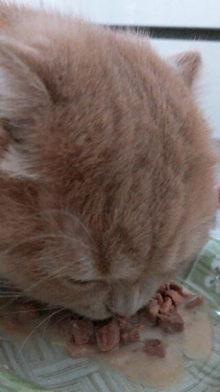 flowerblooming님이 올린 리뷰 사진 2
