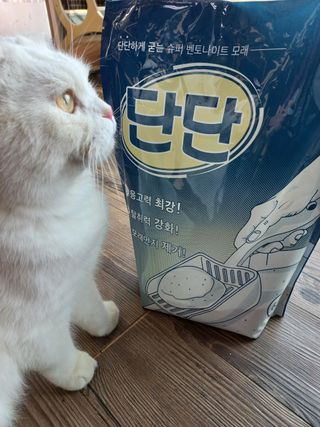 크집사의레시피 - 단단모래 — 5점을 준 리뷰어가 2021년 11월 올린 사용 사진