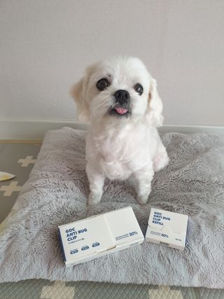 뽀야님이 올린 리뷰 사진 1