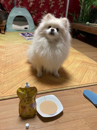 성님이 올린 리뷰 사진 3