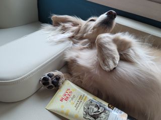 5_daks님이 올린 리뷰 사진 2