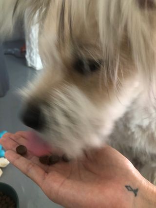 똘아리님이 올린 리뷰 사진 3