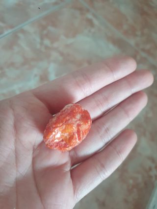 쪼로리님이 올린 리뷰 사진 4
