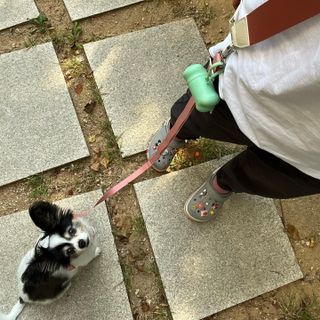 HaejinSeung님이 올린 리뷰 사진 4