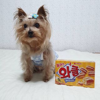 솜희님이 올린 리뷰 사진 3