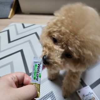 김은혜님이 올린 리뷰 사진 1