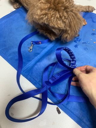 창모니님이 올린 리뷰 사진 4