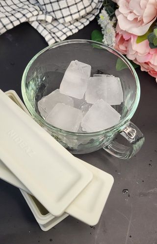 니디즈 포트아이스 2단 밀폐 실리콘 얼음틀 — 5점을 준 리뷰어가 2023년 2월 올린 사용 사진