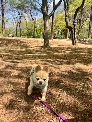 Lucy님이 올린 리뷰 사진 1