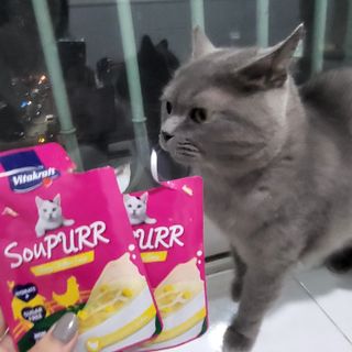 강엄마님이 올린 리뷰 사진 4