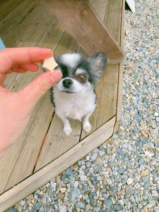Jeonjj님이 올린 리뷰 사진 1