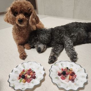 산이네ෆ˙ ᵕ ˙ෆ님이 올린 리뷰 사진 1