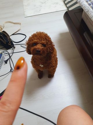 My Pet Care 모발과 모질 피부건강에 개좋아 — 5점을 준 리뷰어가 2021년 4월 올린 사용 사진