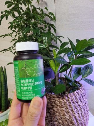 슬림플래닛 녹차카테킨 500mg 애프터밀 — 5점을 준 리뷰어가 2021년 2월 올린 사용 사진