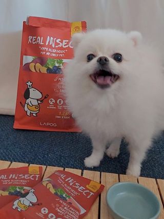 꽃태희님이 올린 리뷰 사진 2