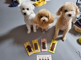 모모맘님이 올린 리뷰 사진 1