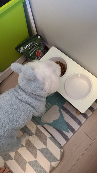 지뿡님이 올린 리뷰 사진 4