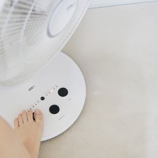 꽃양뿌니님이 올린 리뷰 사진 4