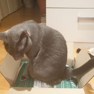 파랑새님이 올린 리뷰 사진 2