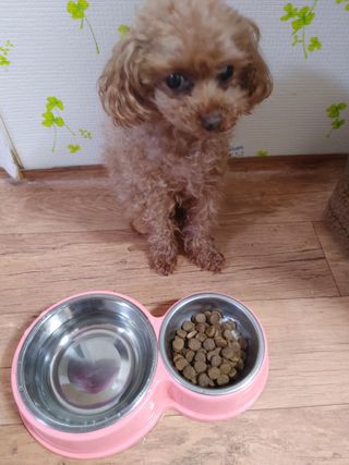 멍순이님이 올린 리뷰 사진 2