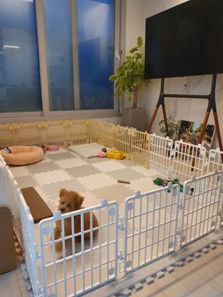 효효님이 올린 리뷰 사진 2