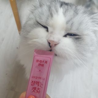 슬뷰님이 올린 리뷰 사진 3