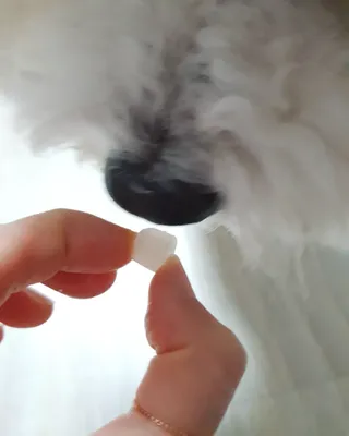 X님이 올린 리뷰 사진 4