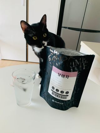 오둥이맘님이 올린 리뷰 사진 1