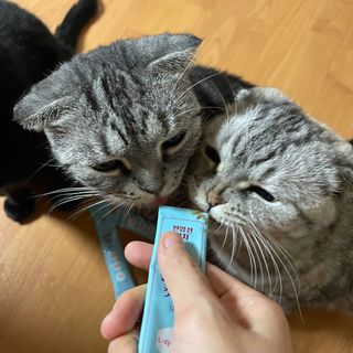 뿌엥꾸엥님이 올린 리뷰 사진 4