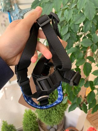 창모니님이 올린 리뷰 사진 1