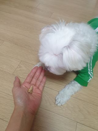 Zenithhappy님이 올린 리뷰 사진 4