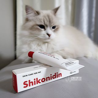 [자유펫] 시코니딘 고양이 강아지 피부 보습 연고 20g — 5점을 준 리뷰어가 2021년 11월 올린 사용 사진