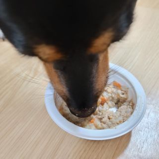 고응룡님이 올린 리뷰 사진 2
