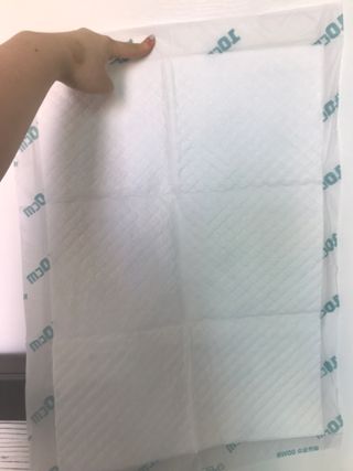 아베크 펫 와이드 프리미엄 중형 애견 강아지 배변 패드 54매 1팩 45g — 5점을 준 리뷰어가 2021년 7월 올린 사용 사진