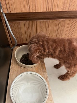 블링토리님이 올린 리뷰 사진 2