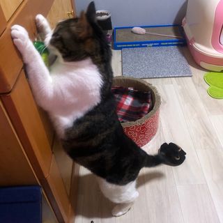 c1bzzvd5mkg님이 올린 리뷰 사진 2