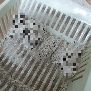 짱현정님이 올린 리뷰 사진 4